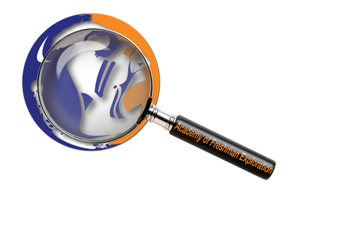 AFE Logo
